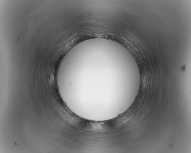 X0000090700618200707200930