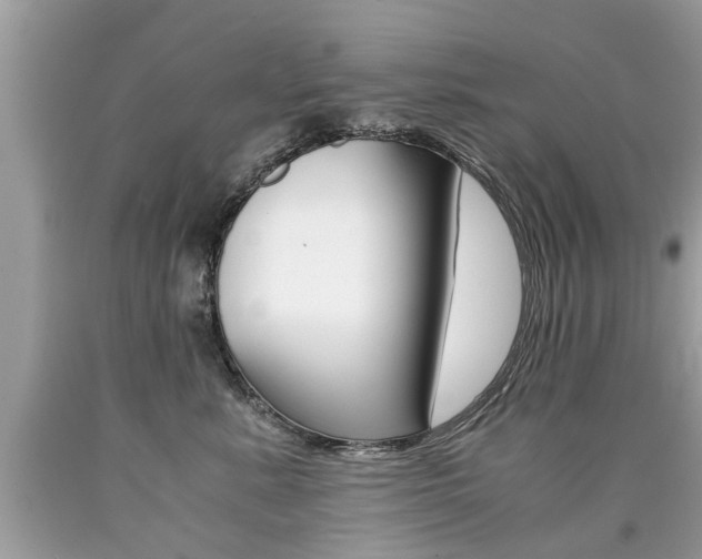 X0000090700619200707200930