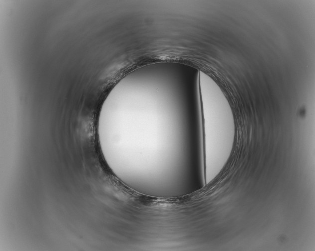 X0000090700620200707200930