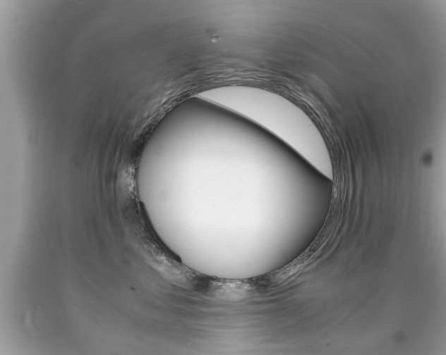 X0000090700621200707200930