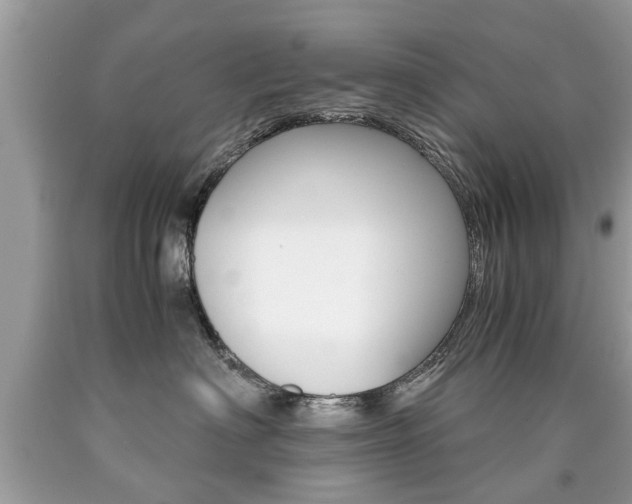 X0000090700622200707200930