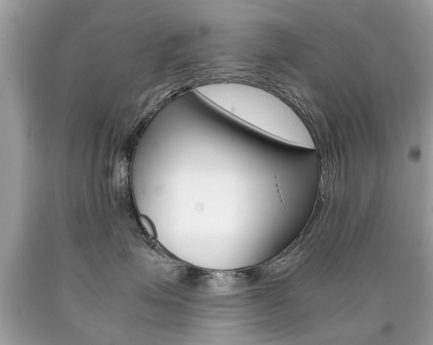 X0000090700623200707200930