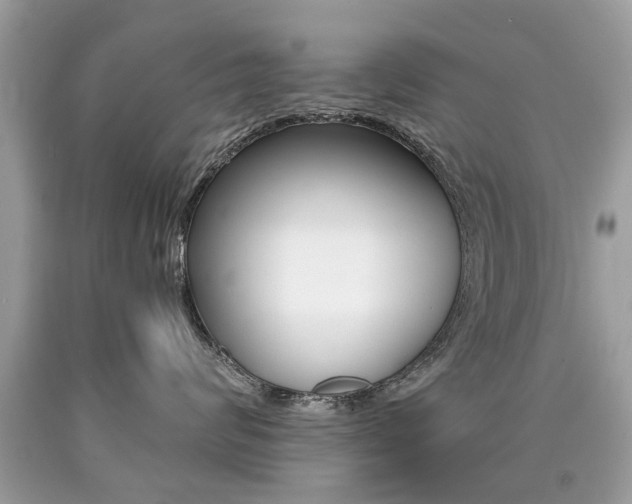 X0000090700624200707200930