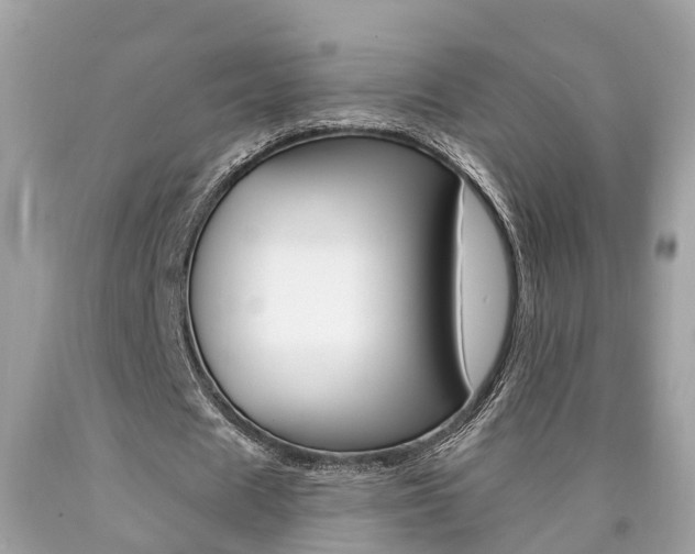 X0000090700625200707200929