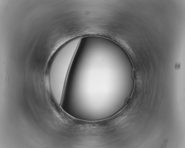 X0000090700626200707200929
