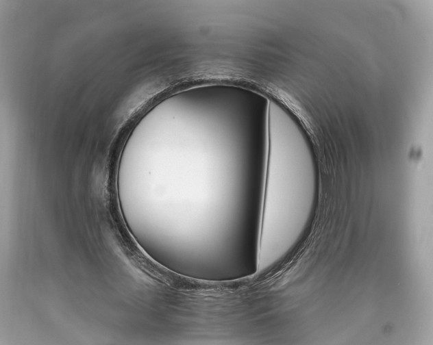 X0000090700627200707200929