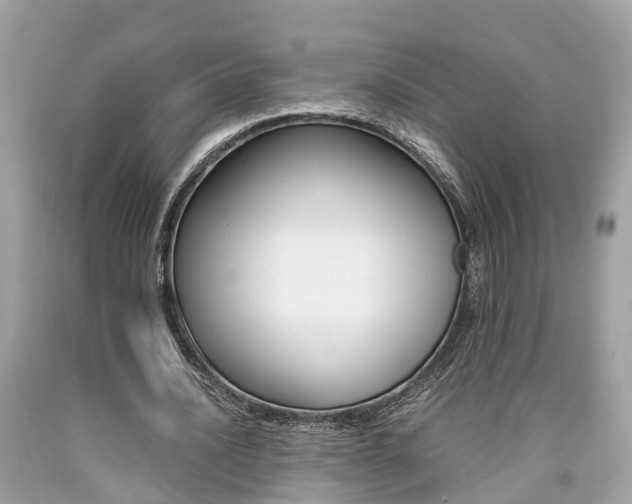 X0000090700628200707200929