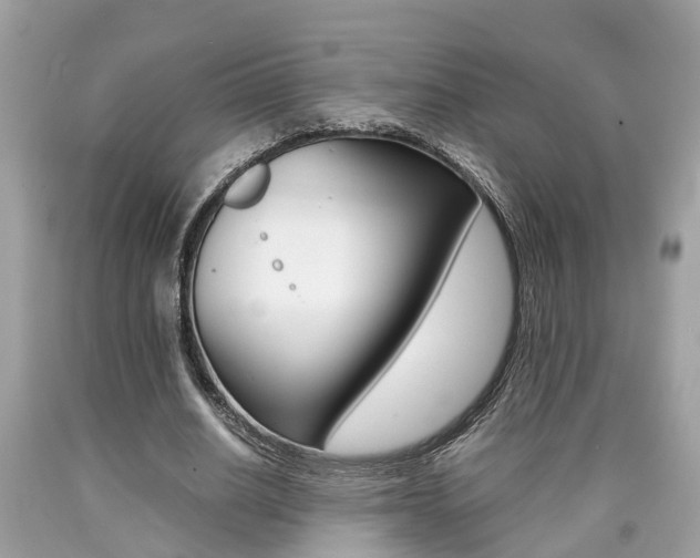 X0000090700630200707200929