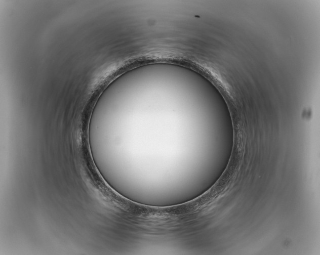 X0000090700631200707200929
