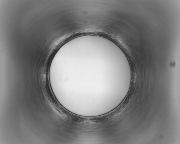X0000090700632200707200929