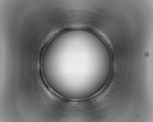 X0000090700633200707200929
