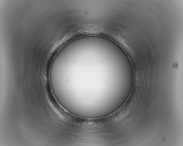 X0000090700634200707200929