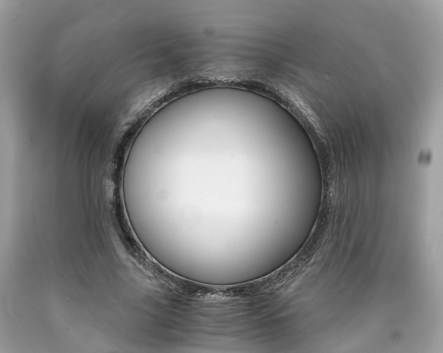 X0000090700635200707200929