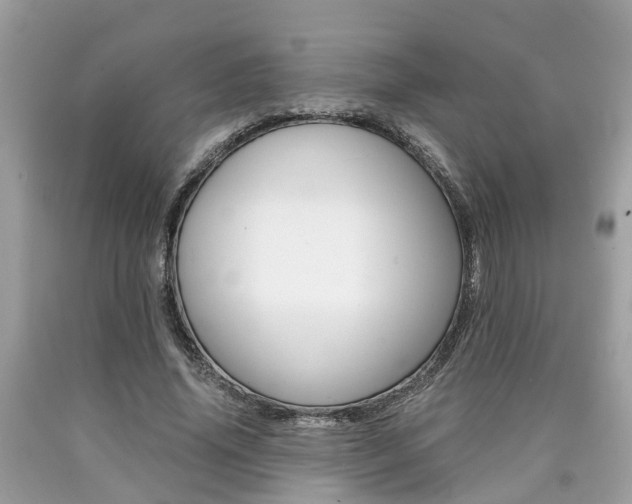 X0000090700636200707200929