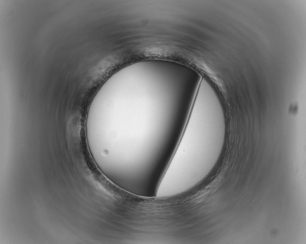 X0000090700637200707200929