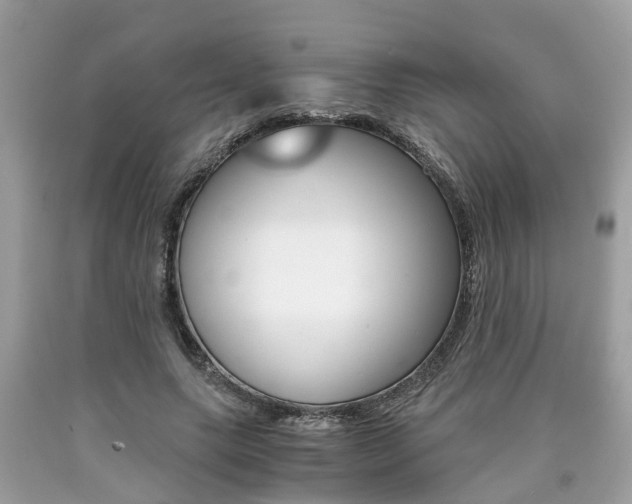 X0000090700639200707200929