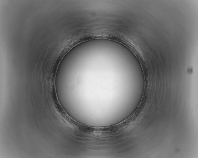 X0000090700641200707200929