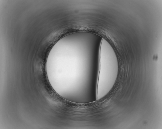X0000090700643200707200930