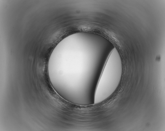 X0000090700645200707200930