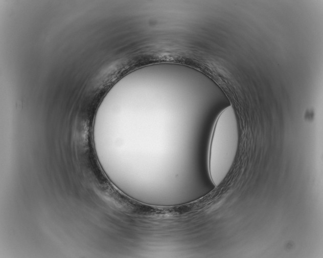 X0000090700646200707200930