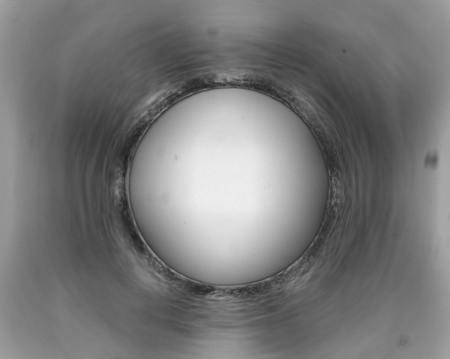 X0000090700648200707200930