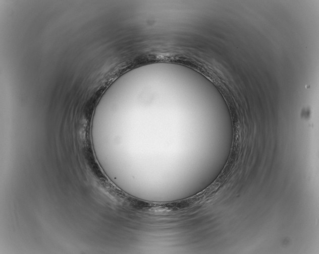 X0000090700650200707200930