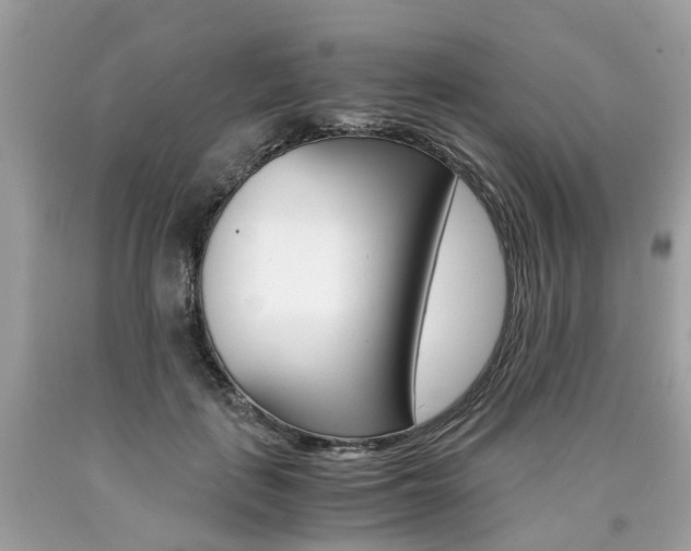 X0000090700651200707200930