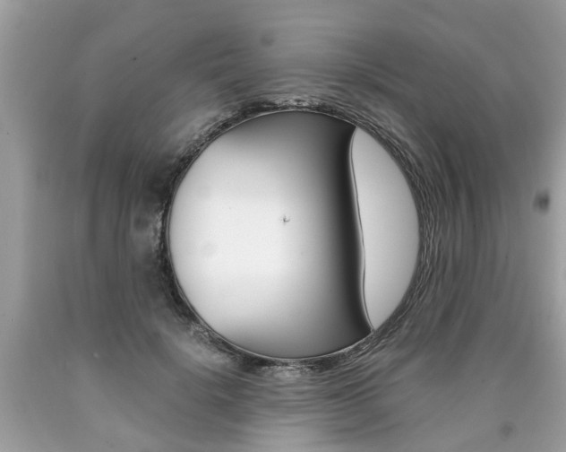 X0000090700652200707200930