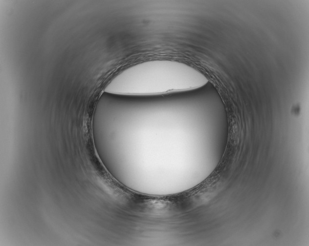 X0000090700654200707200930