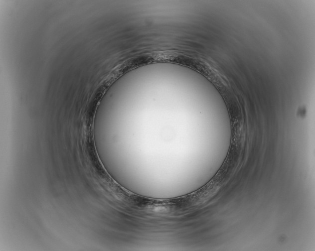 X0000090700655200707200930