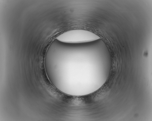 X0000090700656200707200930