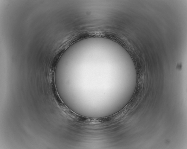 X0000090700658200707200930