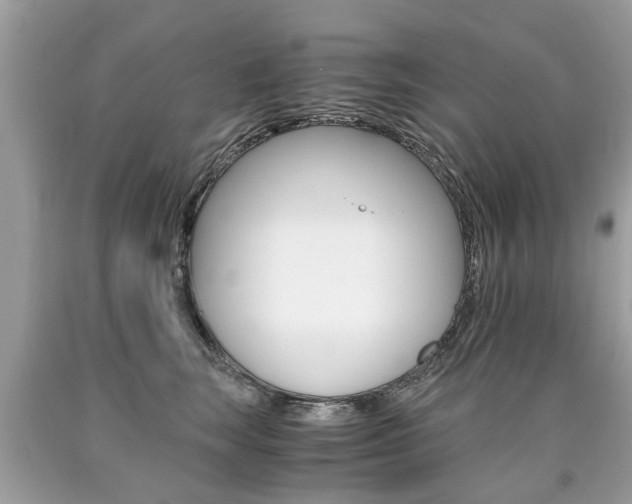 X0000090700663200707200930