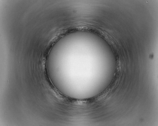X0000090700664200707200930