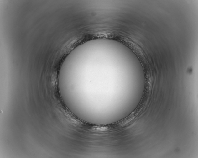 X0000090700665200707200930