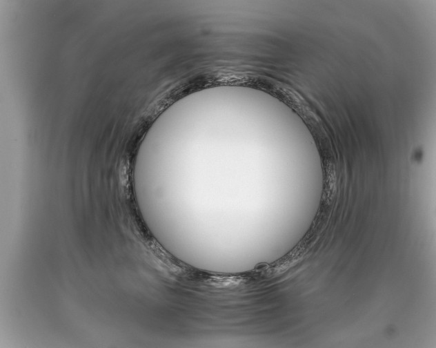 X0000090700667200707200930