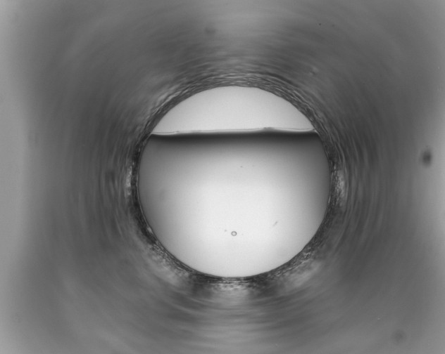 X0000090700668200707200930