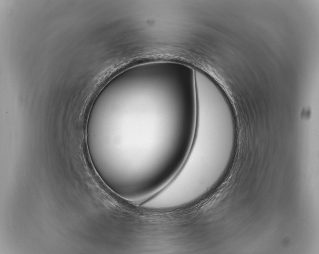 X0000090700673200707200929