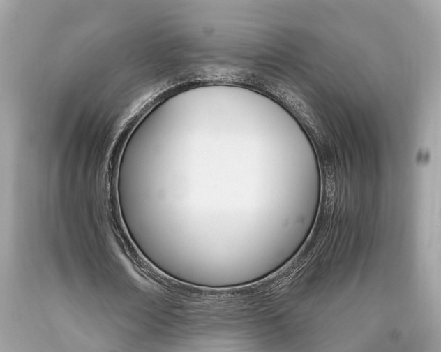 X0000090700674200707200929