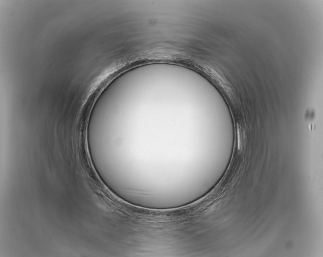 X0000090700675200707200929