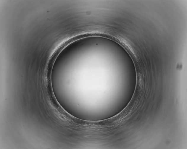 X0000090700676200707200929