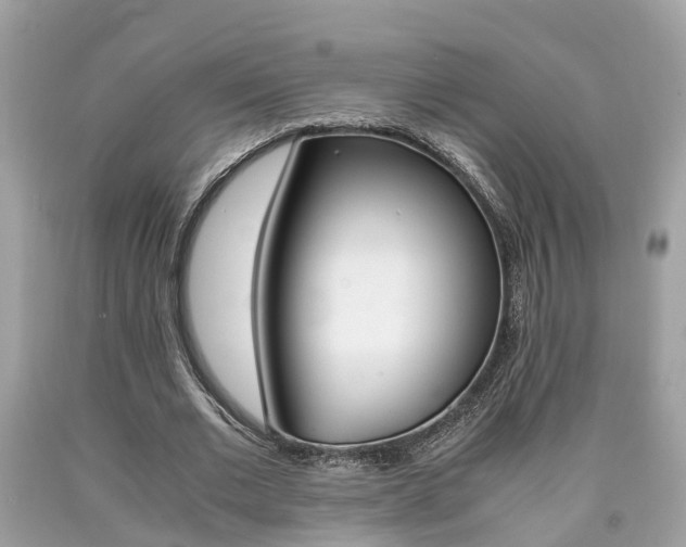 X0000090700677200707200929