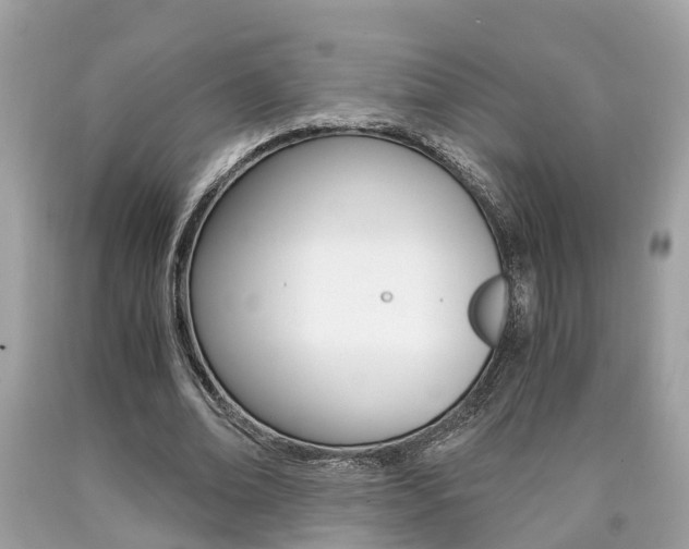 X0000090700678200707200929
