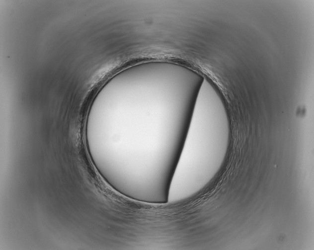 X0000090700679200707200929