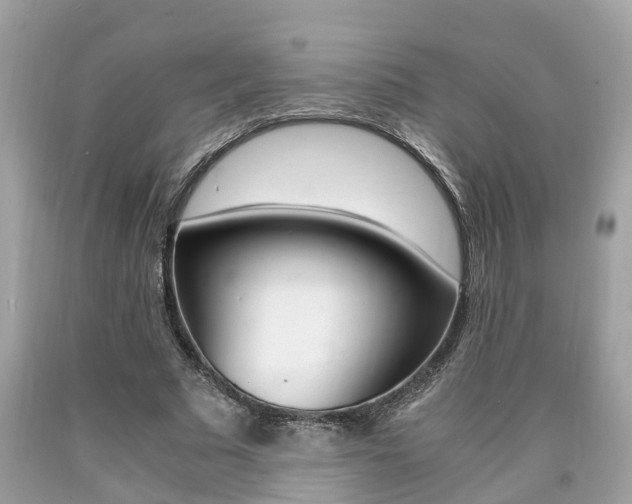 X0000090700681200707200929