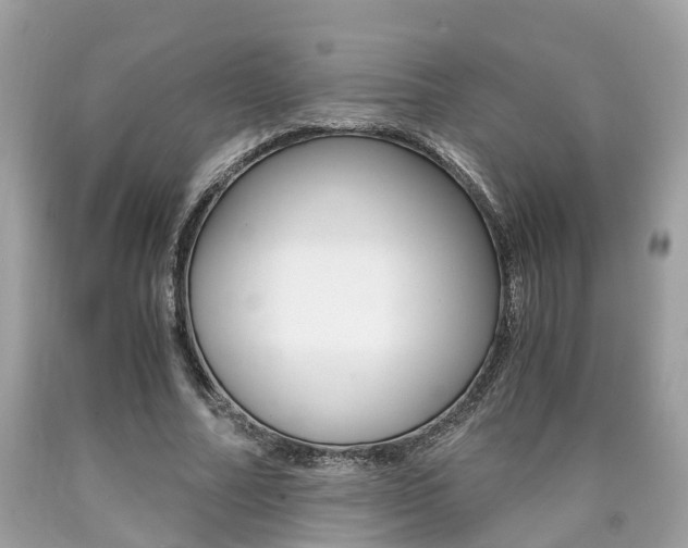 X0000090700682200707200929