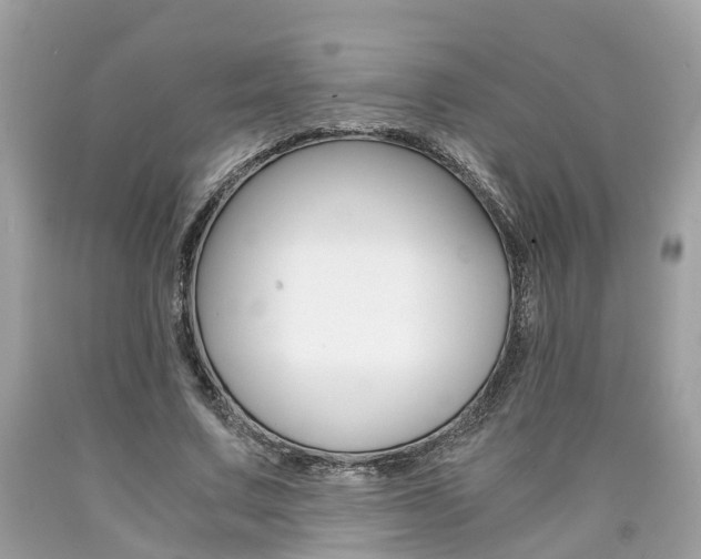 X0000090700683200707200929