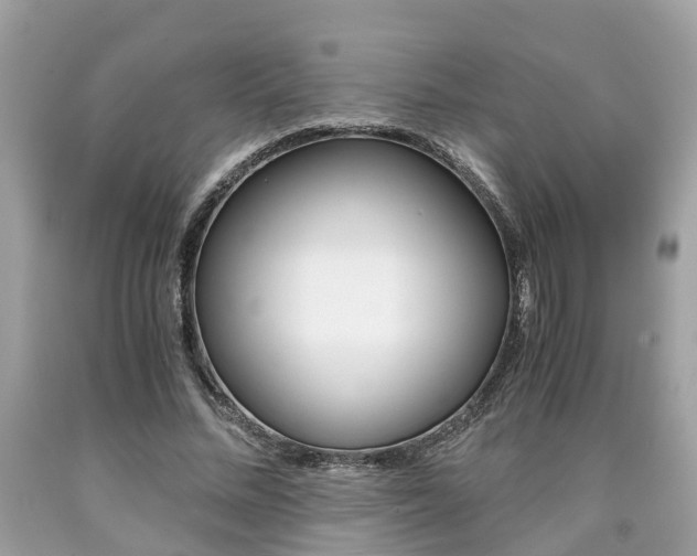X0000090700684200707200929