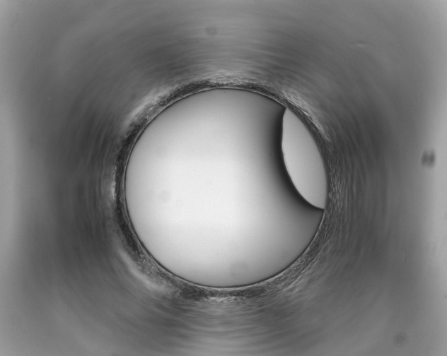 X0000090700686200707200929