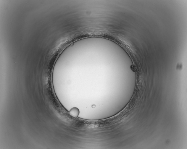X0000090700687200707200929